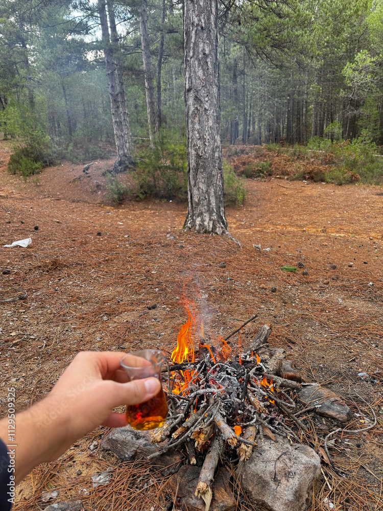 fire in pine forest hike rest. High quality photo fire in pine forest hike rest. High quality photo