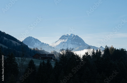 Swiss traditional chalet in a forest overlooked by the snowy Le Moléson alpine peak