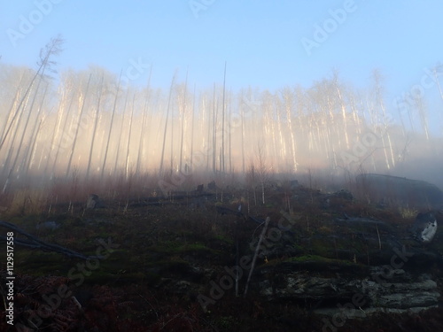 beautiful nature of bohemian switzerland national park photo