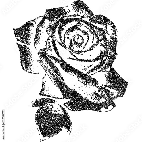 Rose blossom flower, collage element with vintage stipple photocopy effect, with retro grainy texture. Vector illustration for grunge psychedelic surreal poster or tattoo in 90s aesthetic.