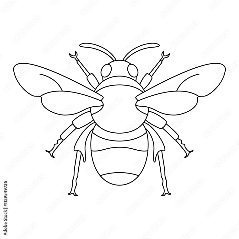 Vector Honey Bee Insect Cartoon Illustration Isolated Vector Honey Bee Insect Cartoon Illustration Isolated