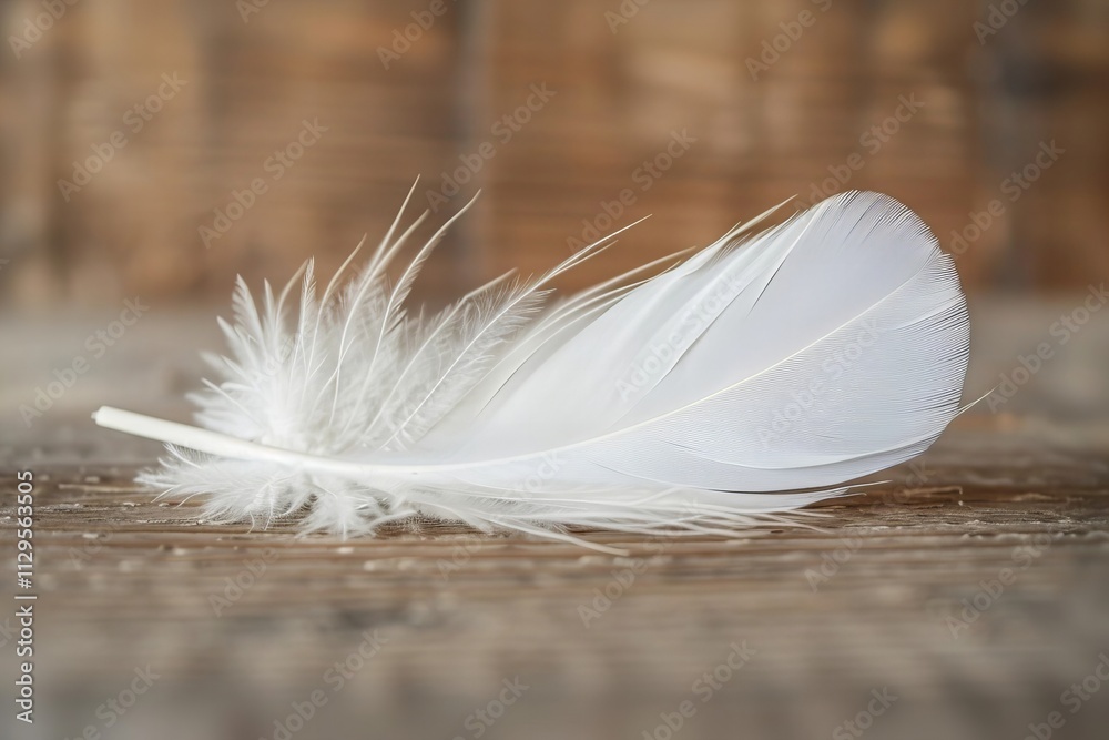Close-up of a white feather against a serene backdrop with ample room for creativity Close-up of a white feather against a serene backdrop with ample room for creativity