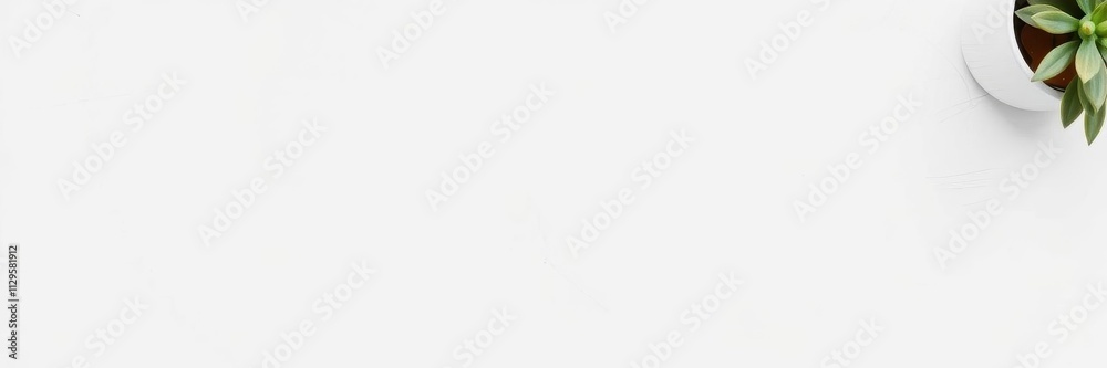 Smooth white paper texture, perfect for mockups and graphic design projects, white, blank Smooth white paper texture, perfect for mockups and graphic design projects, white, blank