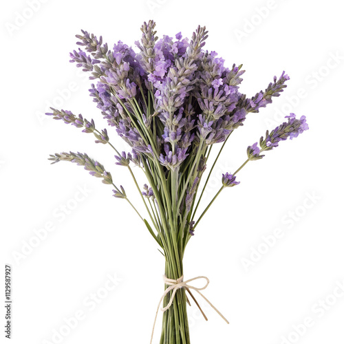 A charming bouquet of lavender tied with a rustic twine ribbon, showcased against a transparent background. Perfect for design projects, cosmetics, medical themes, and creative endeavors.