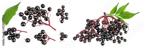 Ripe black elderberry or elder isolated on a white background. Sambucus. Top view. Flat lay