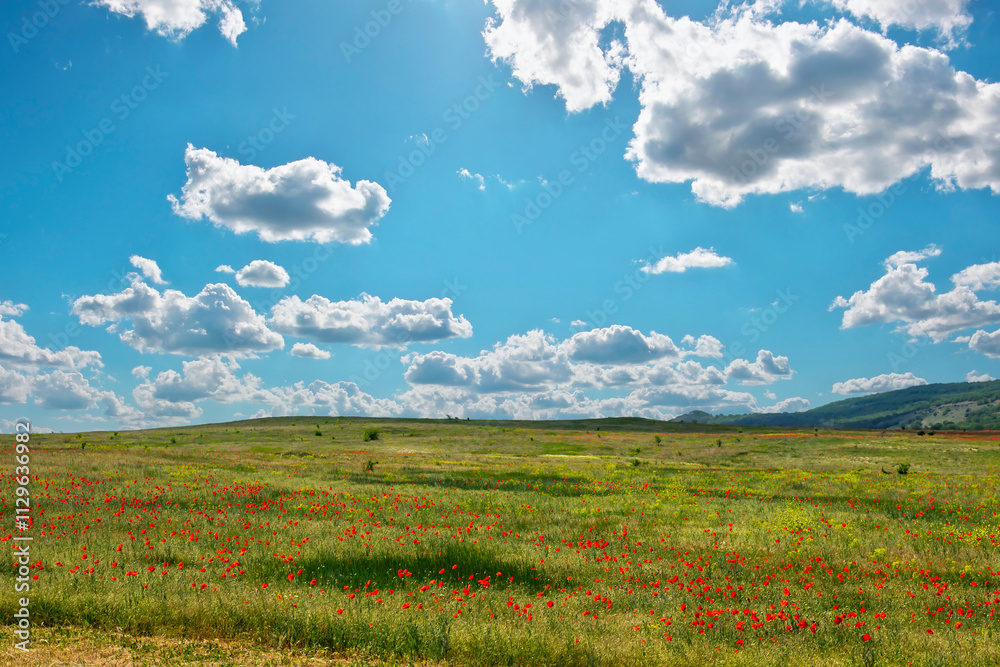 Beautiful landscape with green meadow and cloudy sky. Composition of nature.