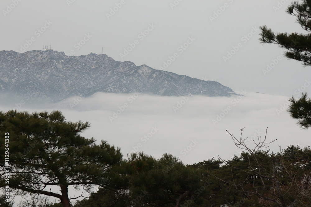 Obraz premium 겨울산