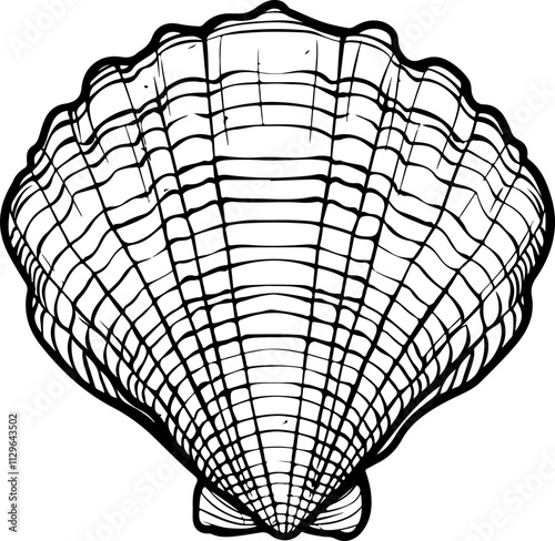 Hand-Drawn Scallop Shell Illustration