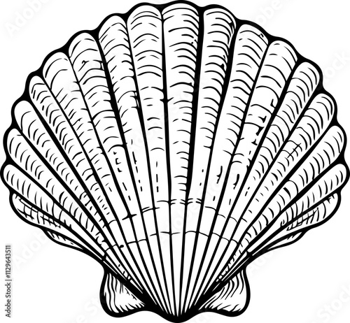 Hand-Drawn Scallop Shell Illustration