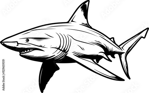 Illustration of a Shark