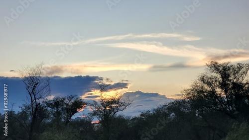 Naturaleza: tarde en colores de fiesta