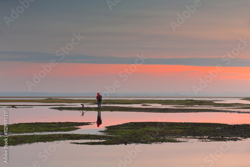 Landscape photographer on the prés-salés or salt marsh meadows that surround Mont-Saint-Michel, flooded by the high tide at dawn. Normandy-France-082 photo