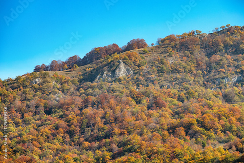 Vibrant fall colors painting a mountain landscape under a clear blue sky