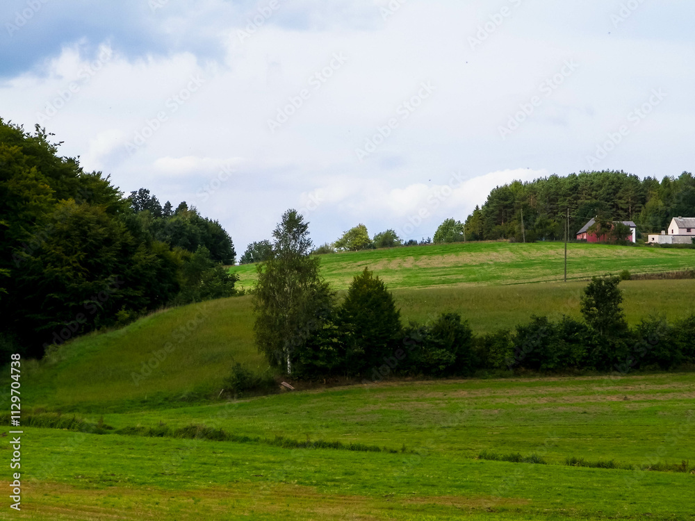 Green hills and forest - landscape of Kashubian Region, Poland. Green hills and forest - landscape of Kashubian Region, Poland.