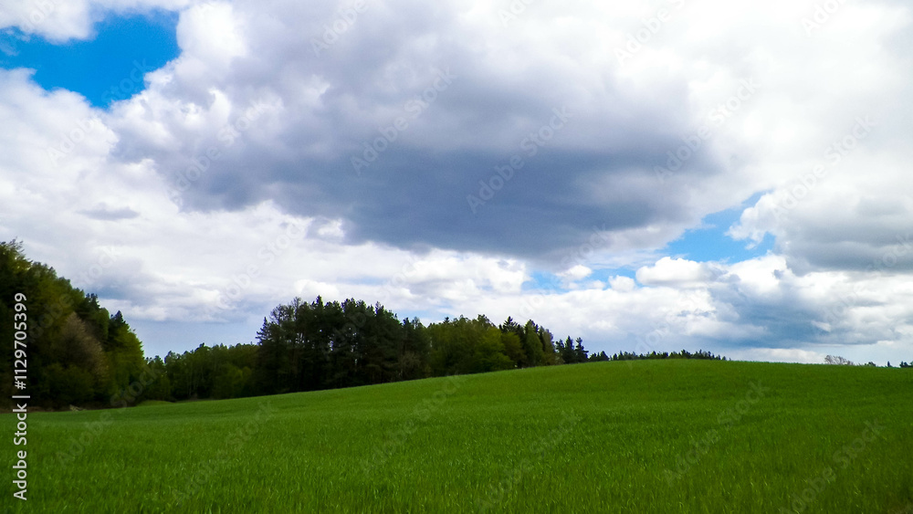 Green fields in Kashubia region - Northern Poland. Green fields in Kashubia region - Northern Poland.