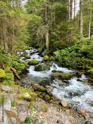 River in the forest (Tatra mountains, Poland)