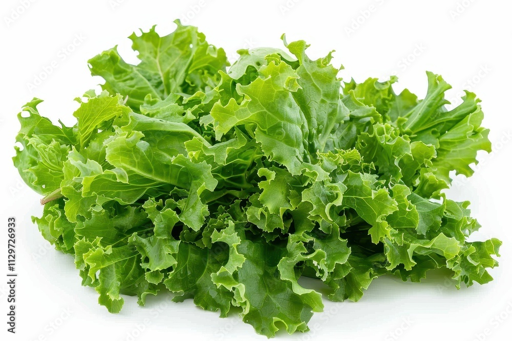escarole and endive against a white backdrop escarole and endive against a white backdrop