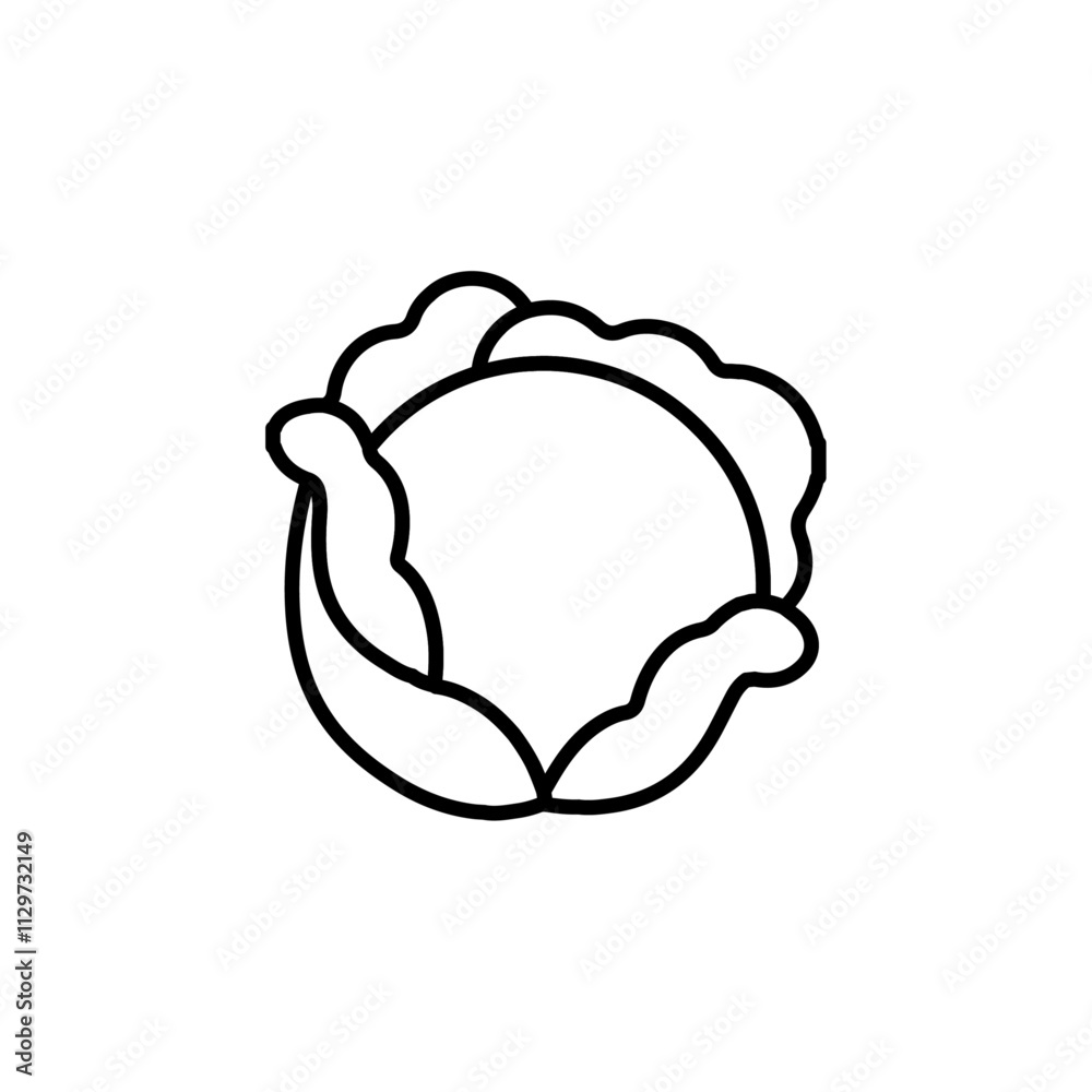cabbage icon Flat symbol set outline cabbage icon Flat symbol set outline