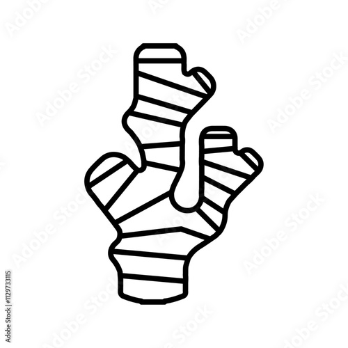 ginger icon Flat symbol set outline