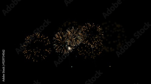 Fireworks Animation on Black Screen Footage Video 4K
