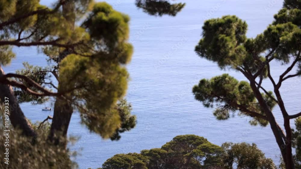 Scenic view of Mediterranean Sea through trees in Cap Roig Scenic view of Mediterranean Sea through trees in Cap Roig