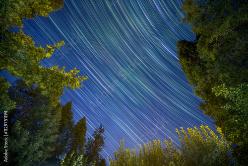 Vibrant Star Trails Above Tahoe National Forest photo