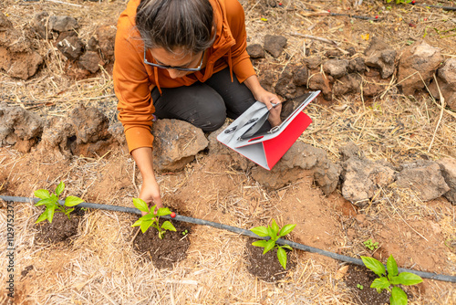 Woman Examining Plants with Tablet in Drip-Irrigated Garden photo