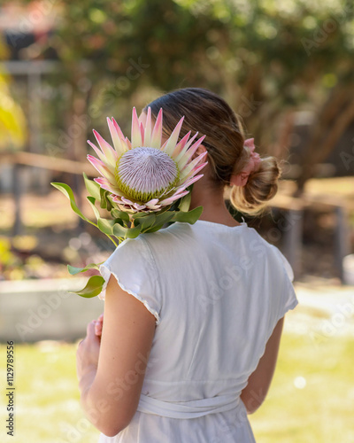 King Protea photo