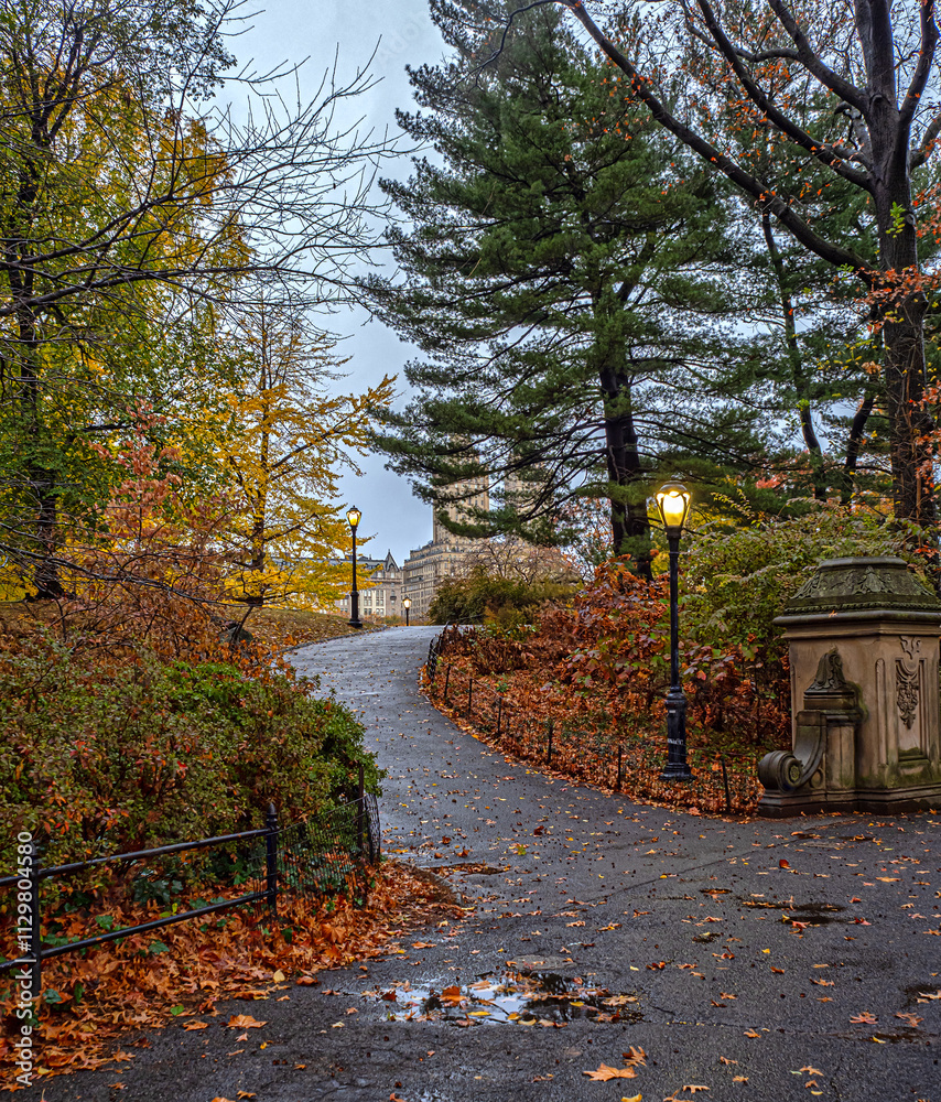 Autumn in Central Park