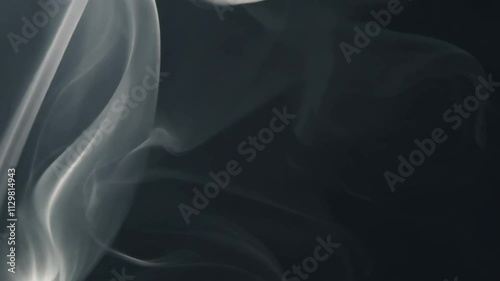 Wallpaper Mural Rising white smoke swirls elegantly against a pitch-black backdrop, forming an abstract and enigmatic visual display Torontodigital.ca