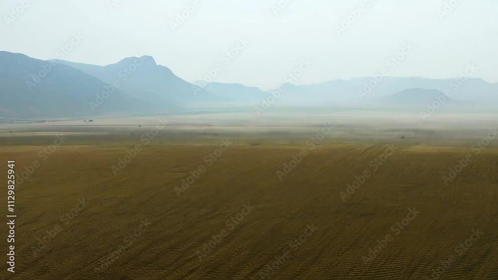 Morning fog envelops vast farmland, creating a serene and picturesque landscape filled with natural beauty Morning fog envelops vast farmland, creating a serene and picturesque landscape filled with natural beauty