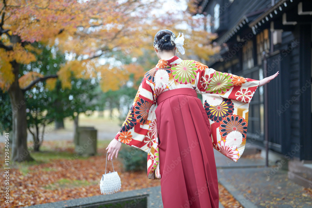 Fototapeta premium A Japanese woman in her 20s wearing a red kimono (Hakama), a staple for Japanese university graduates, walks in front of a traditional Japanese house with beautiful autumn leaves.