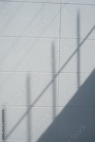 tree background photoof the day 8 photo