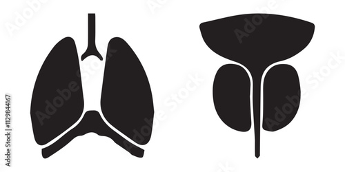 Lungs And Kidneys Icon Collection. Internal Organs of Human Body in Black Color. Isolated White Background.