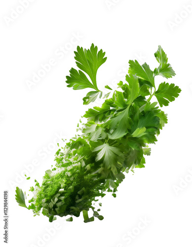 Falling chopped parsley isolated on white background with full depth of field showcasing bright green freshness and natural beauty always seen.