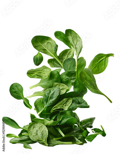 Falling chopped spinach isolated on white background with full depth of field showcasing rich leafy textures and natural beauty always found.