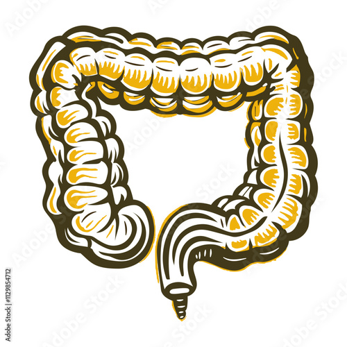 Colon illustration designed in vintage style