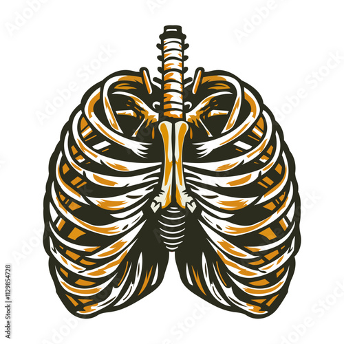 A vintage illustration of diaphragm