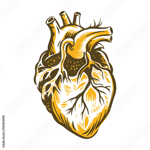 Vintage illustration depicting human heart with arteries