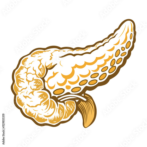 Pancreas illustration designed in vintage style
