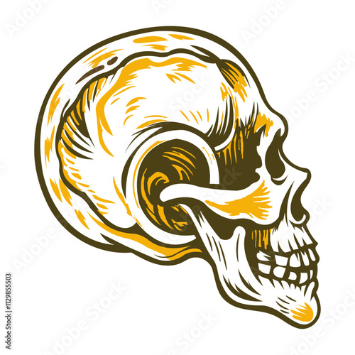 Human skull vintage style illustration