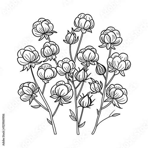 A doodle style icon of cotton plant