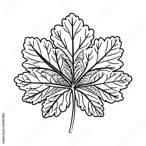 A doodle style icon of parsley