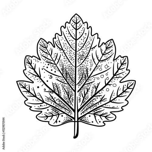 A doodle style icon of leaf