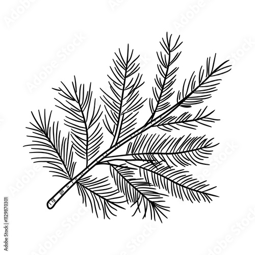 A sketchy style icon of pine branch
