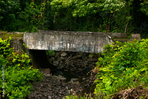 Old Bridge on the Road To Hana, Maui, Hawaii photo