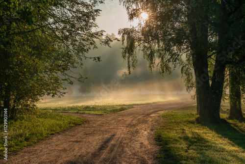 The country road near the Mikhailovskoye estate through the Festive glade on the territory of the Pushkin Museum-Reserve on a sunny foggy morning, Pushkinskiye Gory, Pskov region, Russia