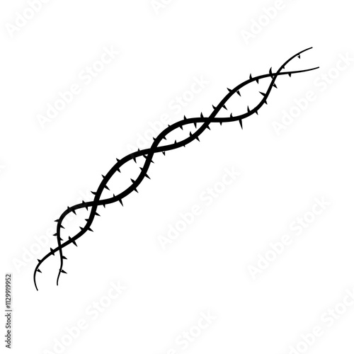 thorny plant stem vector