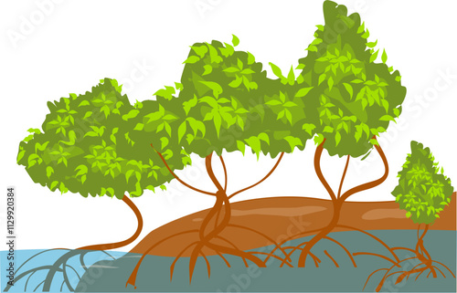 Mangrove tree illustration 