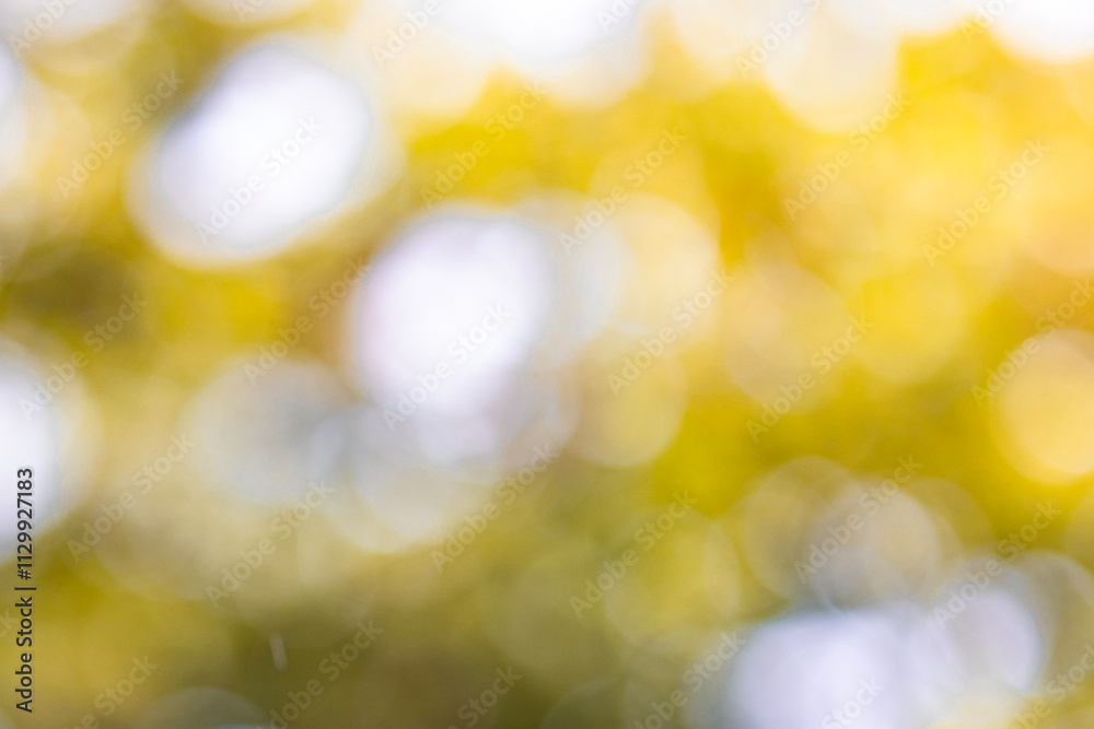 Obraz premium The photo is blurry and out of focus, but it has bokeh and beautiful colors, including orange, yellow, green, and white. It was taken in Myanmar with a high-resolution camera.